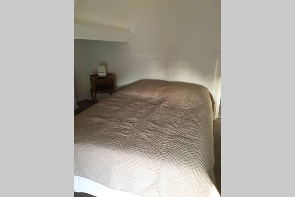 Appartement 4 Couchages , Equipe De La Fibre ブリアール エクステリア 写真