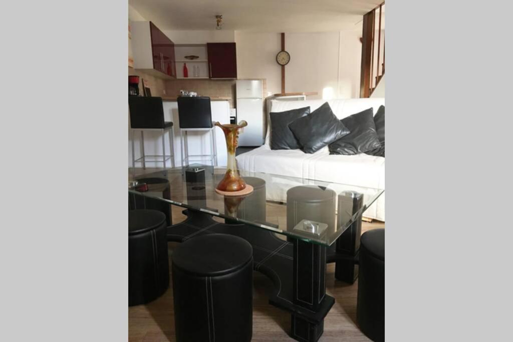 Appartement 4 Couchages , Equipe De La Fibre ブリアール エクステリア 写真